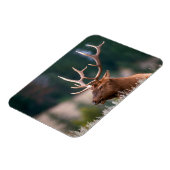 ロッキーマウンテンエルクイエローストーン国立公園 マグネット (左側)