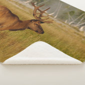 ロッキーマウンテンエルク |イエローストーン国立公園 シェルパブランケット (3/4)