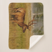 ロッキーマウンテンエルク |イエローストーン国立公園 シェルパブランケット (正面)