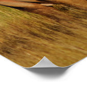 ロッキーマウンテンエルク |イエローストーン国立公園 ポスター (角)