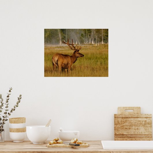 ロッキーマウンテンエルク |イエローストーン国立公園 ポスター (キッチン)