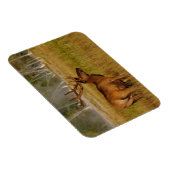 ロッキーマウンテンエルク |イエローストーン国立公園 マグネット (右側)