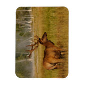 ロッキーマウンテンエルク |イエローストーン国立公園 マグネット (縦)