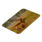 ロッキーマウンテンエルク |イエローストーン国立公園 マグネット (左側)