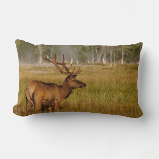 ロッキーマウンテンエルク |イエローストーン国立公園 ランバークッション (正面)