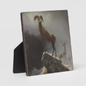 ロッキーマウンテンシープまたはビッグホーン、オビス、モンタナ、c フォトプラーク (正面)