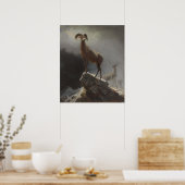 ロッキーマウンテンシープまたはビッグホーン、オビス、モンタナ、c ポスター (キッチン)