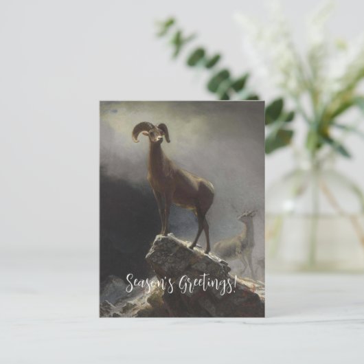 ロッキーマウンテンシープバイアルバートビエルシュタット シーズンポストカード (スタンド正面)