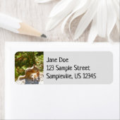 ロッキーマウンテンチップムンク ラベル (インサイチュ)