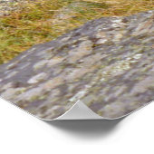 ロッキーマウンテンディアー ポスター (角)