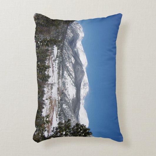 ロッキーマウンテンナショナルパークアクセント枕 アクセントクッション (正面(垂直))