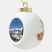 ロッキーマウンテンナショナルパークオーナメント セラミックボールオーナメント (右)