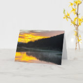 ロッキーマウンテンナショナルパークコロラド カード (黄色い花)