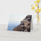 ロッキーマウンテンハイ カード (黄色い花)