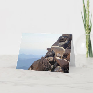 ロッキーマウンテンハイ カード