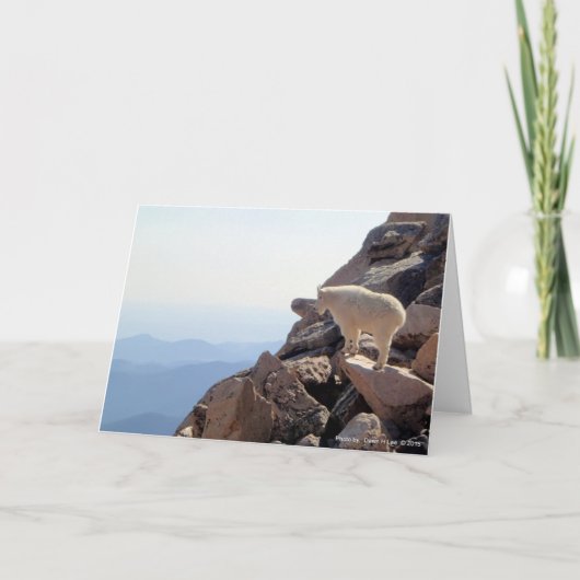 ロッキーマウンテンハイ カード (正面)