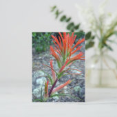 ロッキーマウンテンパーク ポストカード (スタンド正面)