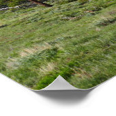 ロッキーマウンテンビューシーニックランドスケープ ポスター (角)