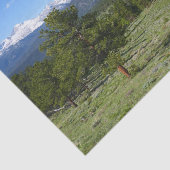 ロッキーマウンテンビューシーニックランドスケープ 薄葉紙 (詳細)