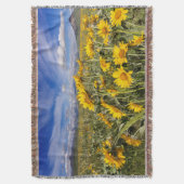 ロッキーマウンテンフロントレンジ スローブランケット (正面縦)