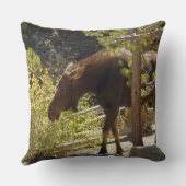 ロッキーマウンテンムース自然写真 クッション (裏面)