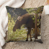 ロッキーマウンテンムース自然写真 クッション (ブランケット)