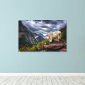 ロッキーマウンテンヤギ キャンバスプリント (インサイチュ (ウッドフロア))