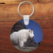 ロッキーマウンテンヤギ(大きな男性) キーホルダー (正面)