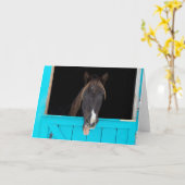 ロッキーマウンテンヨーン カード (黄色い花)