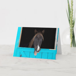 ロッキーマウンテンヨーン カード