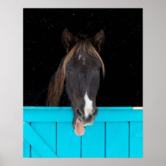 ロッキーマウンテンヨーン ポスター (正面)