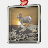 ロッキーマウンテンワイルドビッグホルンシープ&サンセット メタルオーナメント (左)