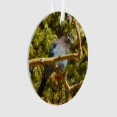 ロッキーマウンテン国立公園でステラーズジェイ オーナメント (正面)