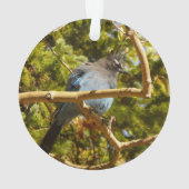 ロッキーマウンテン国立公園でステラーズジェイ オーナメント (裏面)