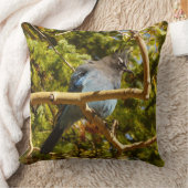 ロッキーマウンテン国立公園でステラーズジェイ クッション (ブランケット)