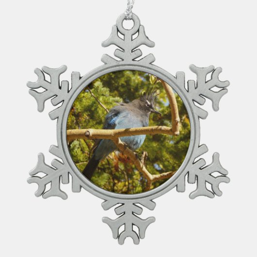 ロッキーマウンテン国立公園でステラーズジェイ スノーフレークピューターオーナメント (正面)