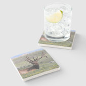 ロッキーマウンテン国立公園のエルク ストーンコースター (横)