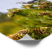 ロッキーマウンテン国立公園のクラークのナツクラッカー ポスター (角)