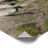 ロッキーマウンテン国立公園のスプラハ湖II ポスター (角)