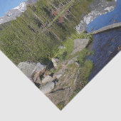 ロッキーマウンテン国立公園のスプラハ湖II 薄葉紙 (詳細)