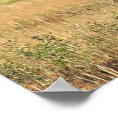 ロッキーマウンテン国立公園のブルエルク ポスター (角)