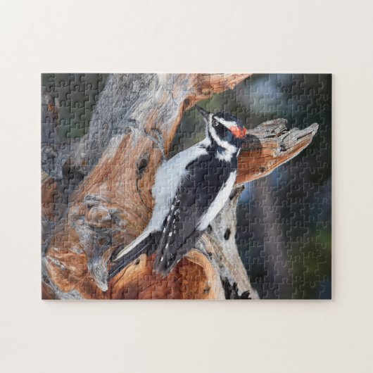 ロッキーマウンテン国立公園の「ウッディウウッドペッカー」 ジグソーパズル (横)