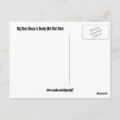 ロッキーマウンテン国立公園野生生物葉書 ポストカード (裏面)