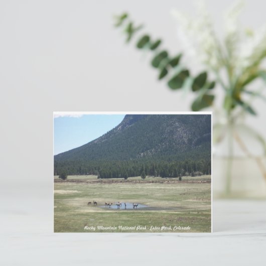 ロッキーマウンテン国立公園(エステス公園) ポストカード (スタンド正面)