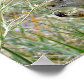 ロッキーマウンテン国立公園 ポスター (角)