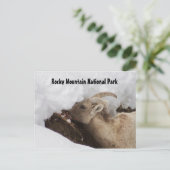 ロッキーマウンテン国立公園 ポストカード (スタンド正面)