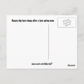 ロッキーマウンテン国立公園 ポストカード (裏面)