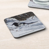 ロッキーマウンテンMagpie 6プラスチックのコースター コースター (左側)
