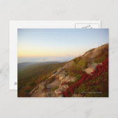 ロッキー丘陵、赤い花アカディア国立公園 ポストカード (正面/裏面)