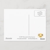 ロッキー地形 ポストカード (裏面)